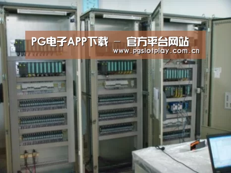 PG电子模拟器案例展示五