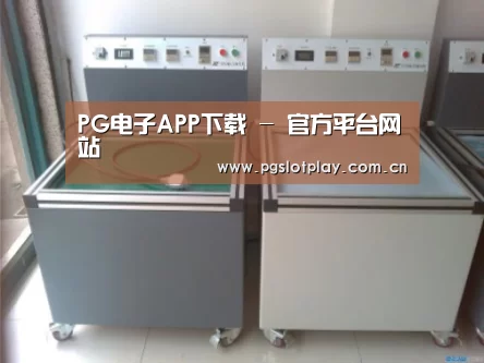 PG电子模拟器案例展示二(图1)