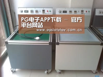 PG电子模拟器案例展示二