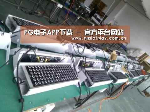 PG电子模拟器案例展示一