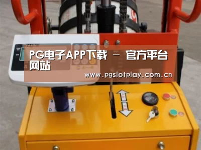 PG电子模拟器案例展示三