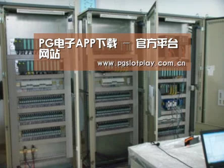 PG电子模拟器案例展示五(图1)