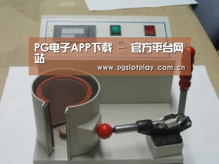 PG电子模拟器案例展示六(图1)
