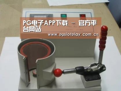 PG电子模拟器案例展示六