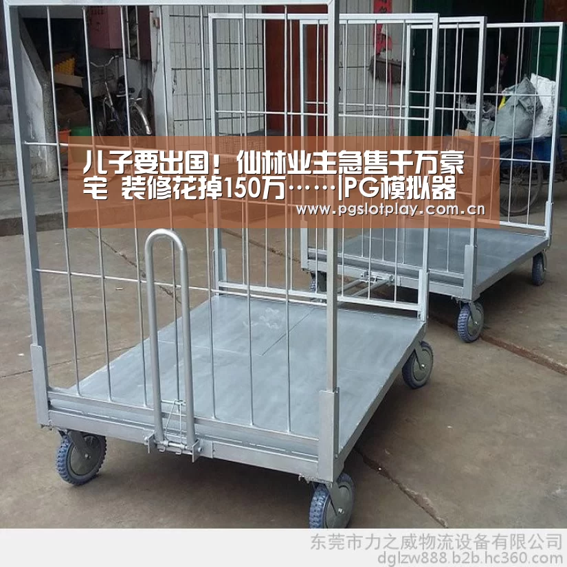儿子要出国!仙林业主急售千万豪宅 装修花掉150万……|PG模拟器(图3) PG电子模拟器