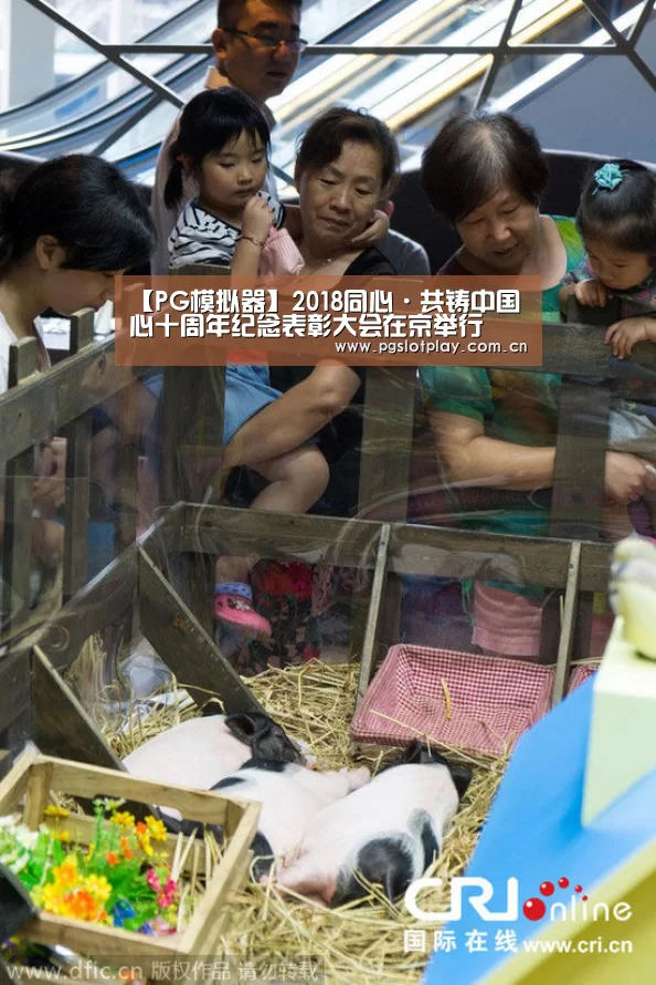 【PG模拟器】2018同心·共铸中国心十周年纪念表彰大会在京举行(图1) PG试玩