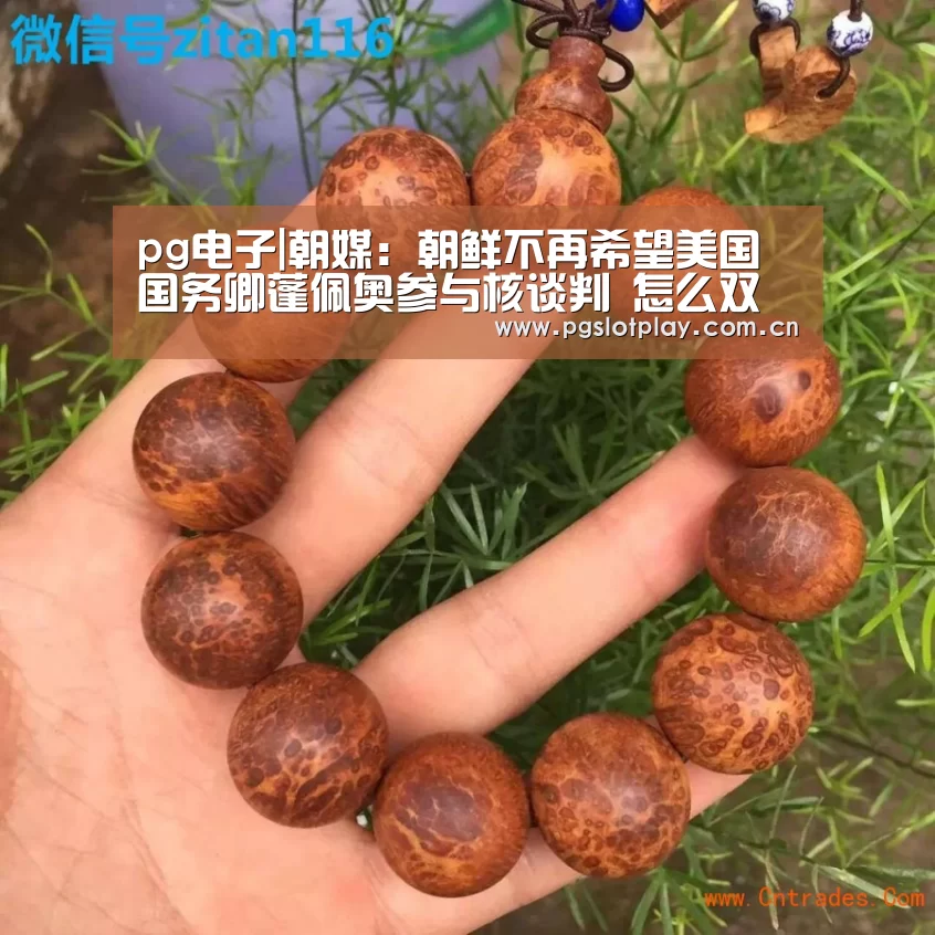 pg电子|朝媒:朝鲜不再希望美国国务卿蓬佩奥参与核谈判 怎么双飞黑糖群侠传(图2) PG试玩