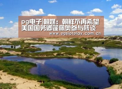 pg电子|朝媒:朝鲜不再希望美国国务卿蓬佩奥参与核谈判 怎么双飞黑糖群侠传(图1) PG试玩