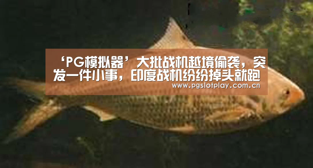 ‘PG模拟器’大批战机越境偷袭,突发一件小事,印度战机纷纷掉头就跑 欧美av排行(图1) PG试玩