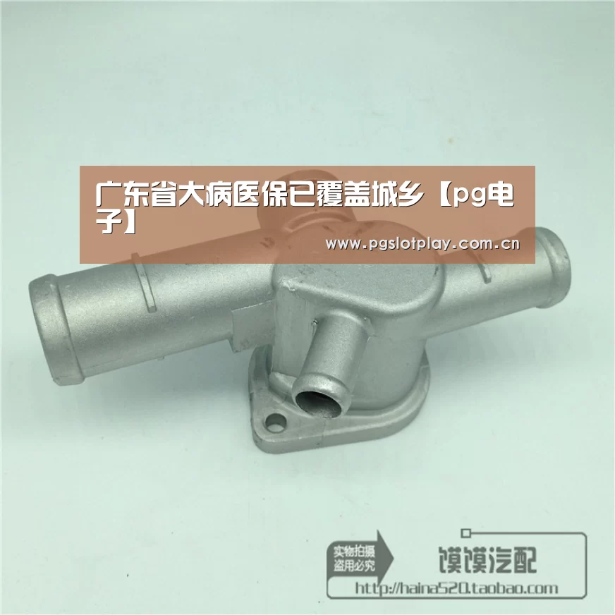 广东省大病医保已覆盖城乡【pg电子】(图3) PG试玩