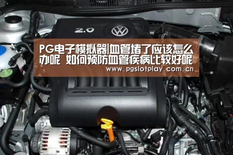 PG电子模拟器|血管堵了应该怎么办呢 如