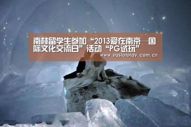 南林留学生参加“2013爱在南京—国际文化交流日”活动“PG试玩”(图1) PG电子模拟器