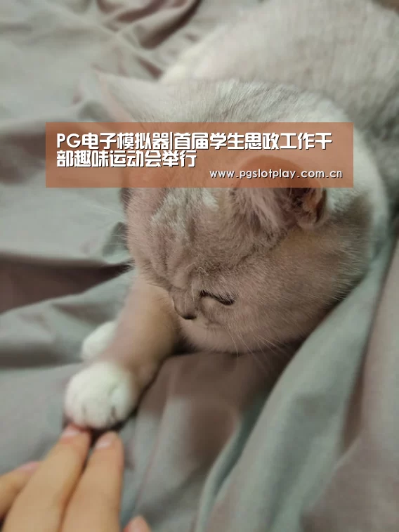 PG电子模拟器|首届学生思政工作干部趣味运动会举行(图1) PG模拟器