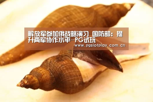 解放军参加俄战略演习 国防部:提升两军协作水平-PG试玩(图1) PG模拟器