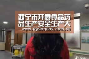 西宁市开展食品药品生产安全生产大检查_PG模拟器(图2) pg电子