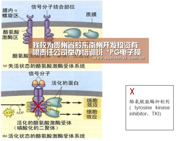 PG模拟器